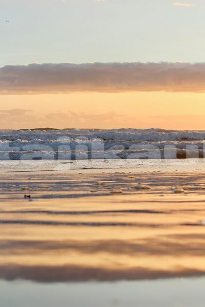 Big with watermark image