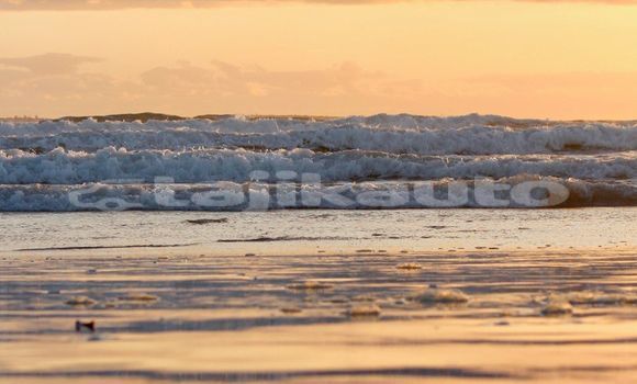 Medium with watermark image