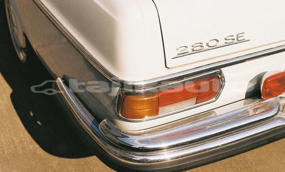 Medium with watermark image