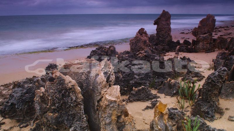 Big with watermark image