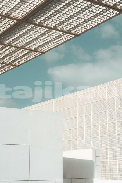 Big with watermark image