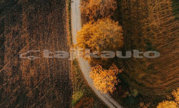 Medium with watermark image