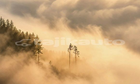 Medium with watermark image