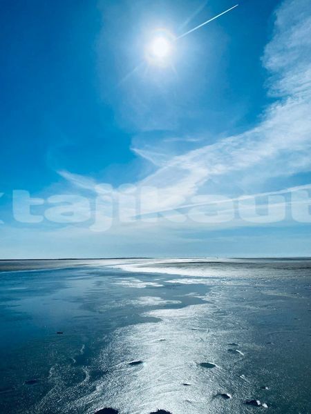 Big with watermark image