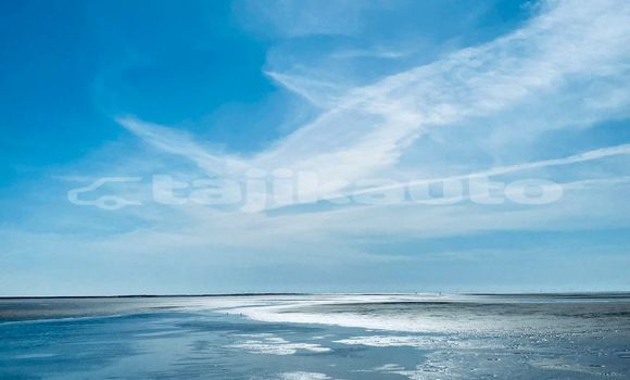 Medium with watermark image