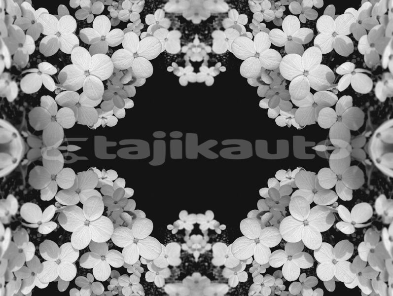Big with watermark image
