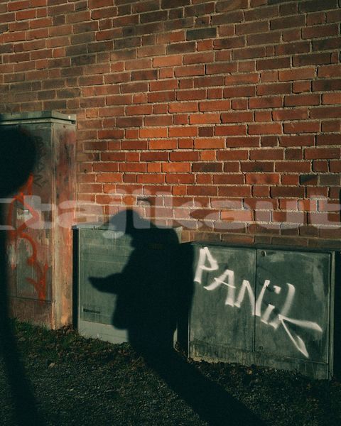 Big with watermark image
