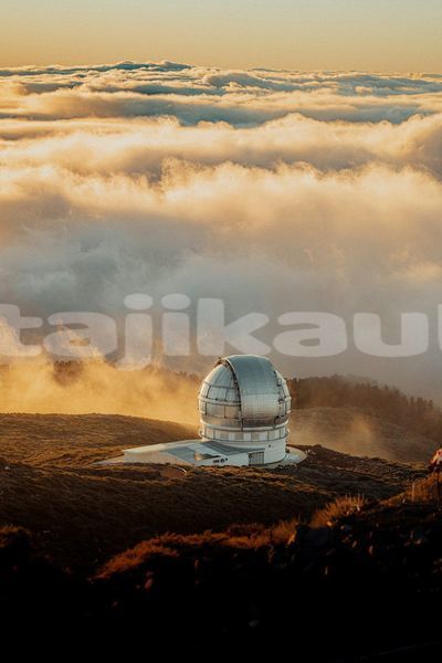 Big with watermark image