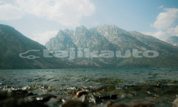 Medium with watermark image