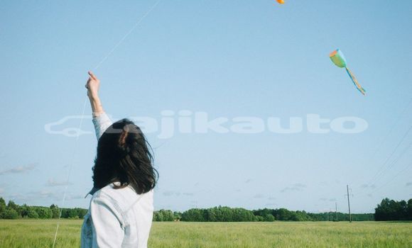 Medium with watermark image