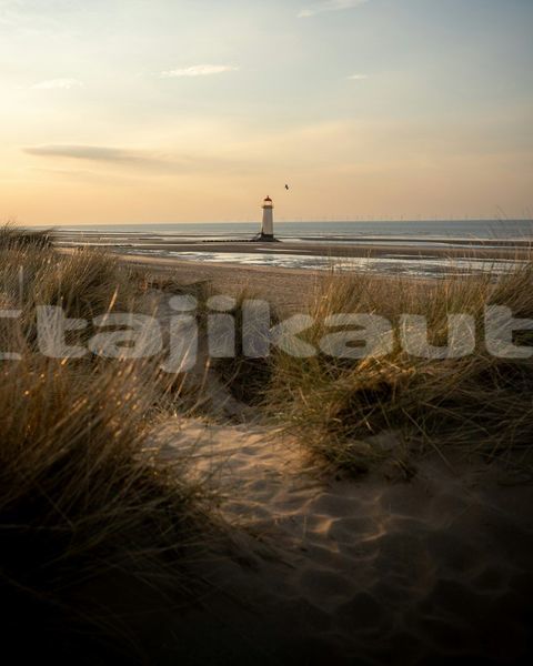 Big with watermark image