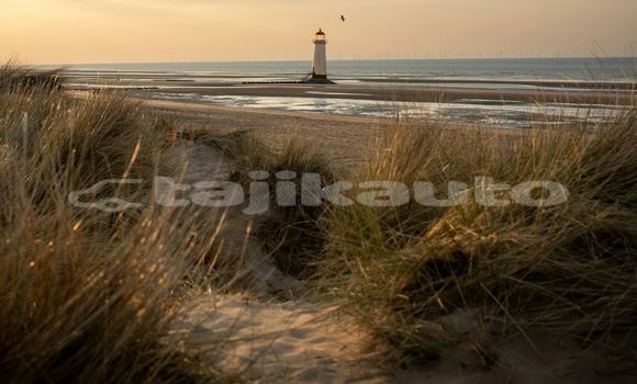 Medium with watermark image