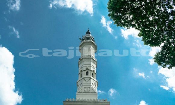 Medium with watermark image