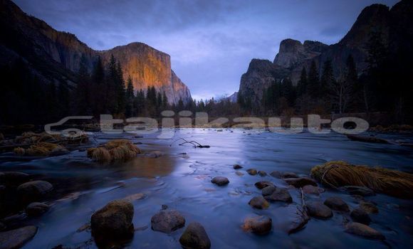 Medium with watermark image