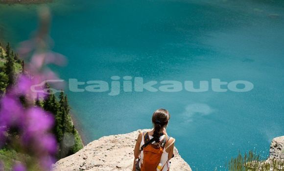 Medium with watermark image