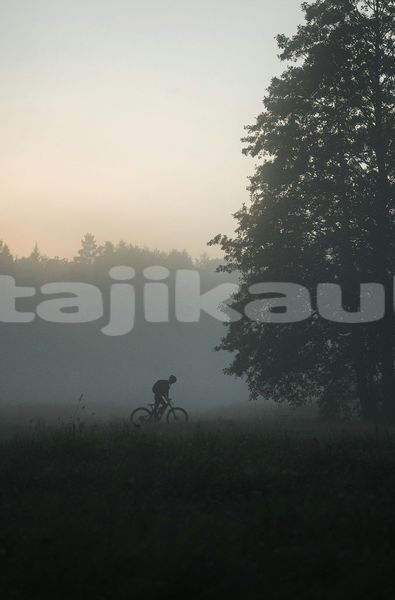 Big with watermark image