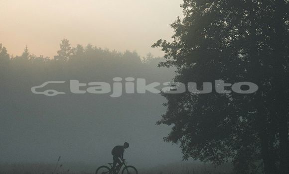 Medium with watermark image