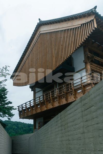 Big with watermark image