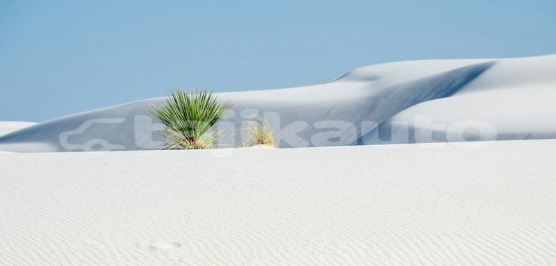 Big with watermark image