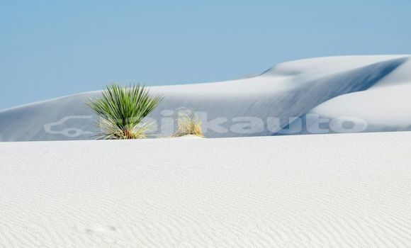 Medium with watermark image