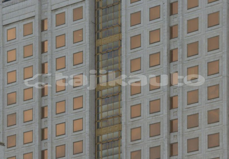 Big with watermark image