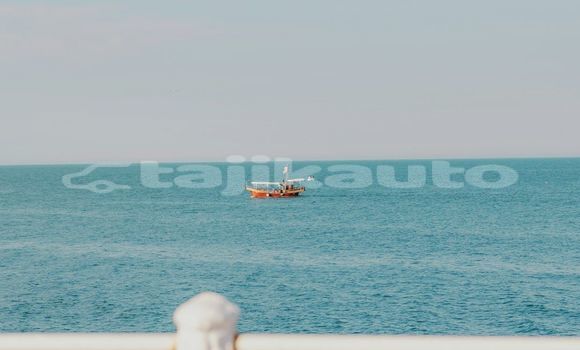 Medium with watermark image