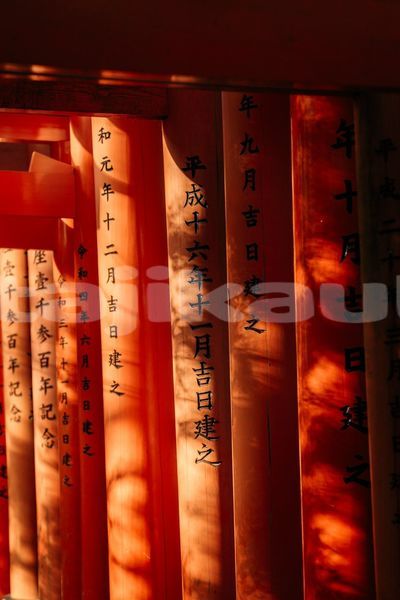 Big with watermark image