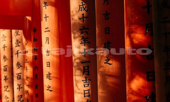 Medium with watermark image