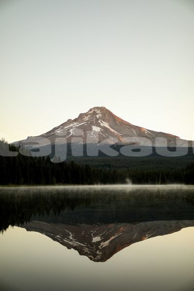 Big with watermark image