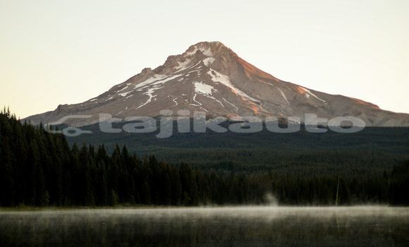 Medium with watermark image