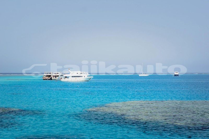 Big with watermark image