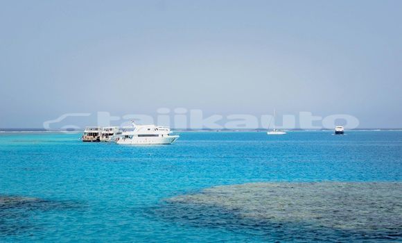 Medium with watermark image