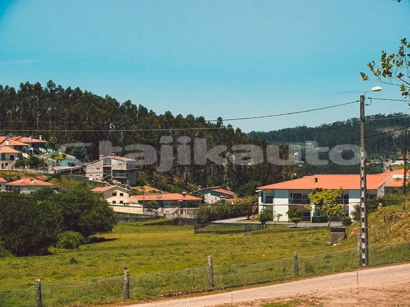 Big with watermark image
