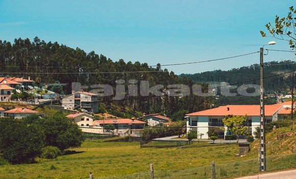 Medium with watermark image