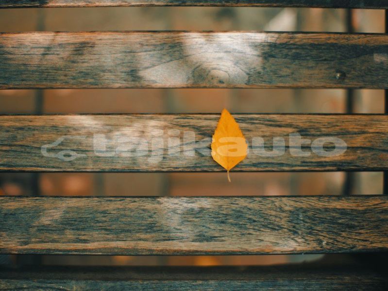 Big with watermark image