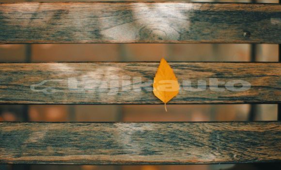 Medium with watermark image