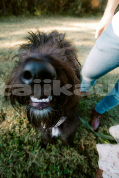 Big with watermark image