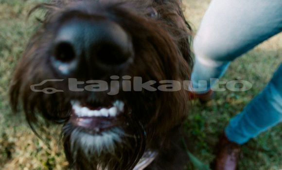 Medium with watermark image