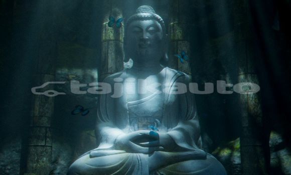 Medium with watermark image