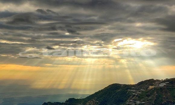 Medium with watermark image