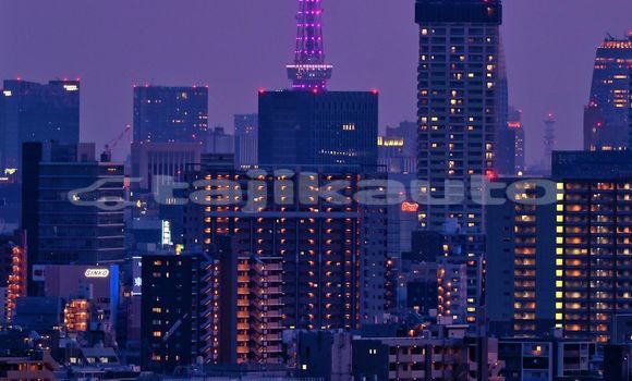 Medium with watermark image