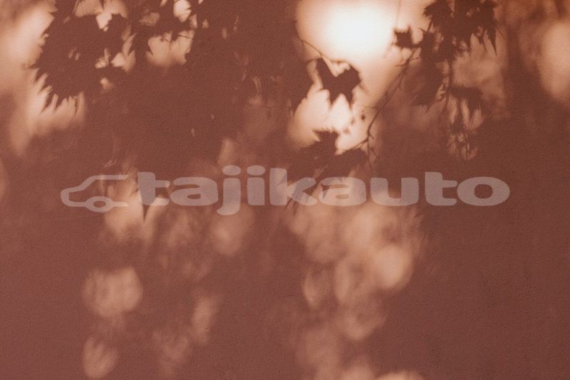 Big with watermark image