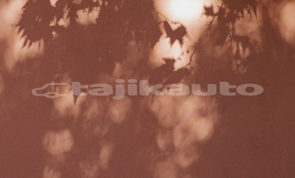 Medium with watermark image