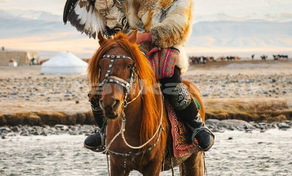 Medium with watermark image
