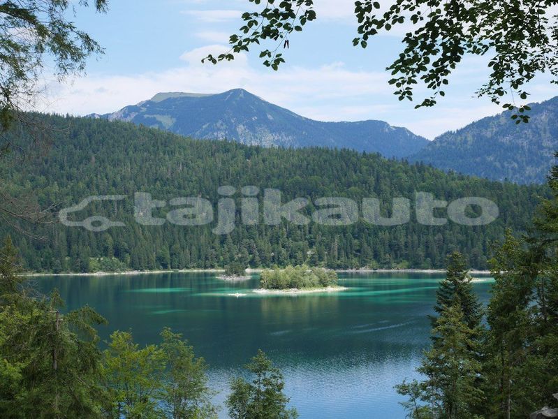 Big with watermark image