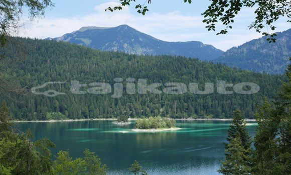Medium with watermark image