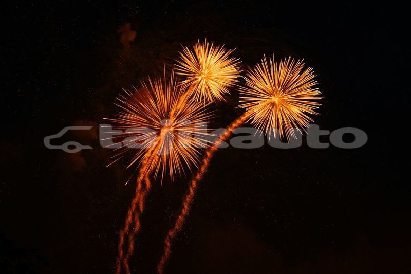 Big with watermark image