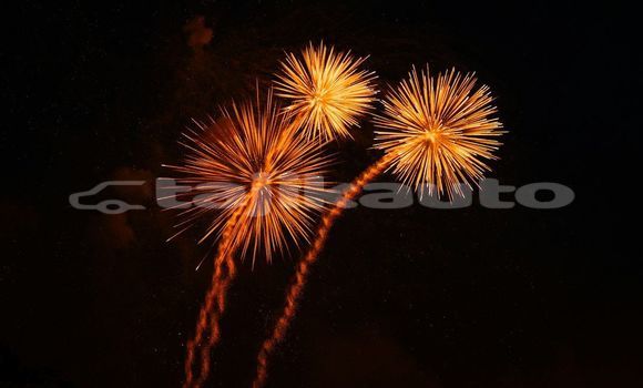 Medium with watermark image