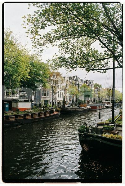 Big with watermark image