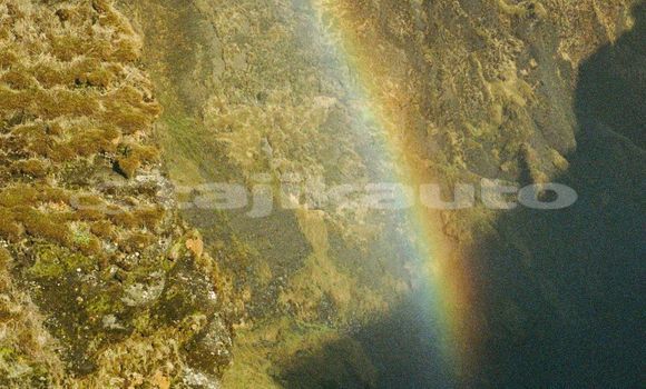 Medium with watermark image